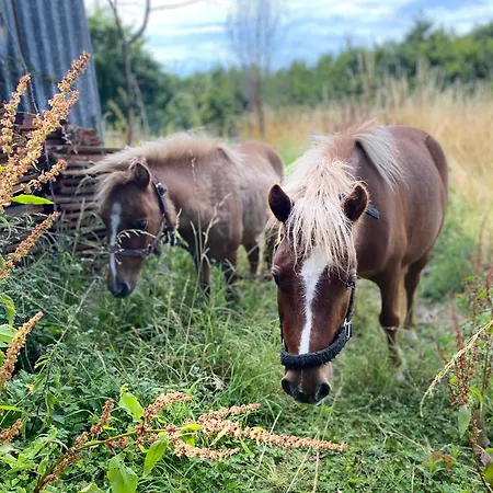 Maison La Folie Douce Saint-Pierre-de-Manneville