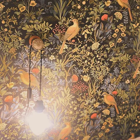 Bed & Breakfast Maison La Folie Douce