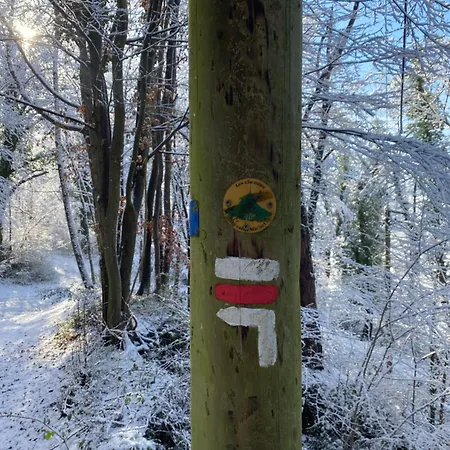 Bed & Breakfast Maison La Folie Douce Saint-Pierre-de-Manneville