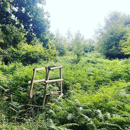 Maison La Folie Douce Saint-Pierre-de-Manneville