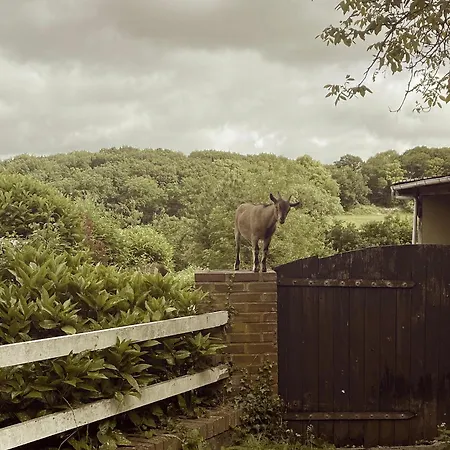 Bed & Breakfast Maison La Folie Douce 3*