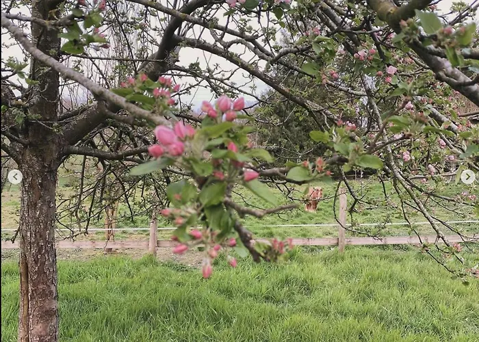 Couette-café Maison La Folie Douce 3*