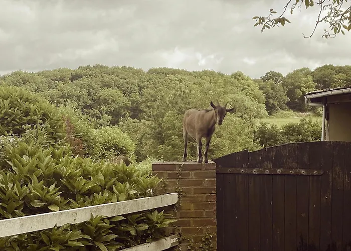 Couette-café Maison La Folie Douce 3*